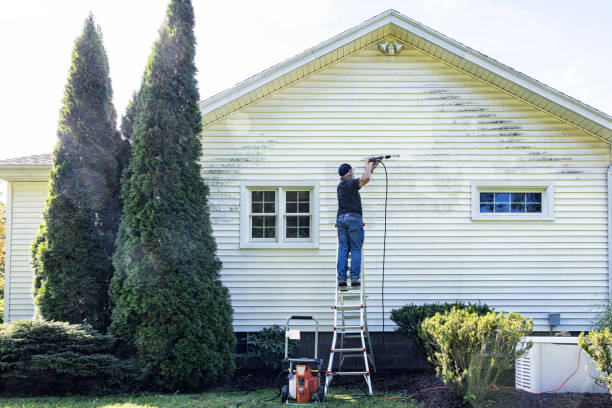 Best Fence Cleaning and Maintenance in Albany, IN